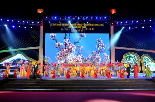 Khai mạc Lễ hội hoa Anh Đào-Mai vàng Yên Tử Hạ Long 2017 - ảnh 1